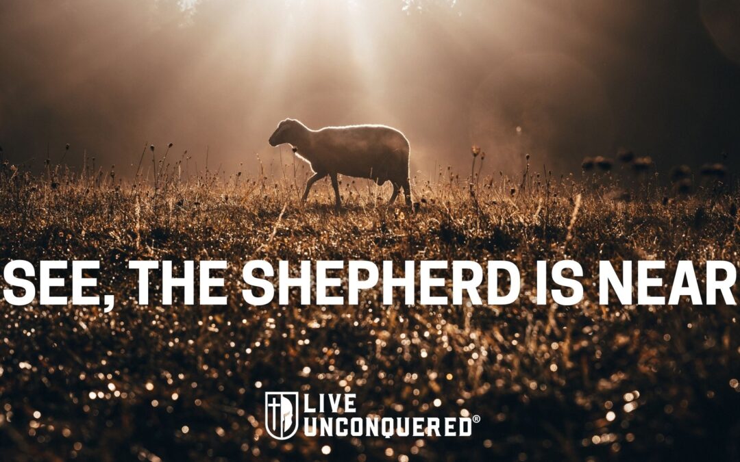 See, the shepherd is near.